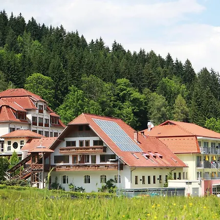Hotel Optimamed Gesundheitsresort Agathenhof Micheldorf (Carinthia)