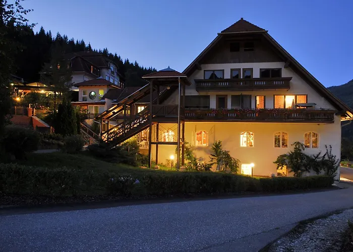 Gesundheitsresort Agathenhof Отель 4*