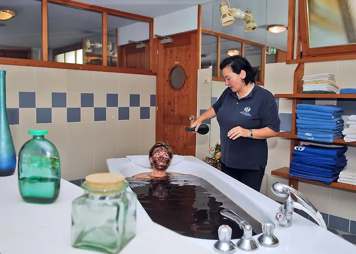 Отель Gesundheitsresort Agathenhof 4*